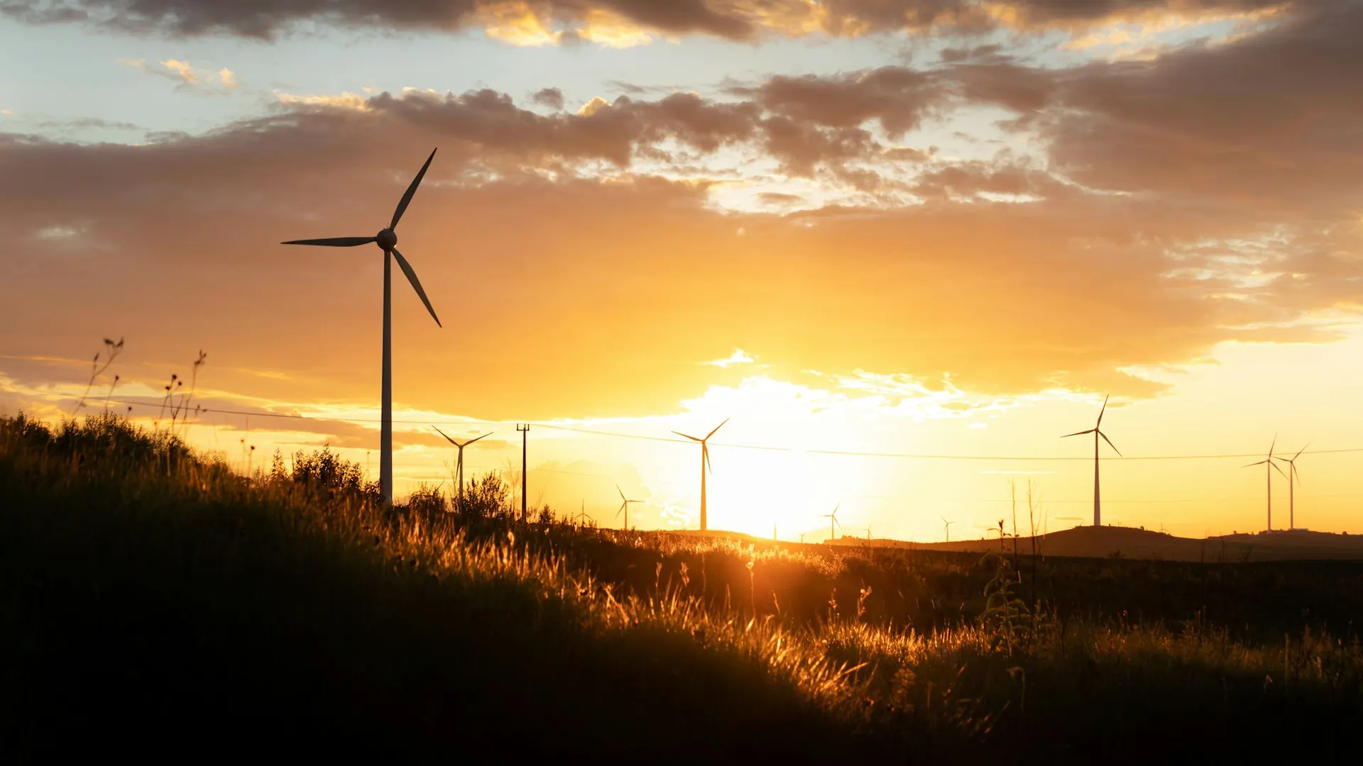 Windkraftanlagen im Gegenlicht der Abendsonne