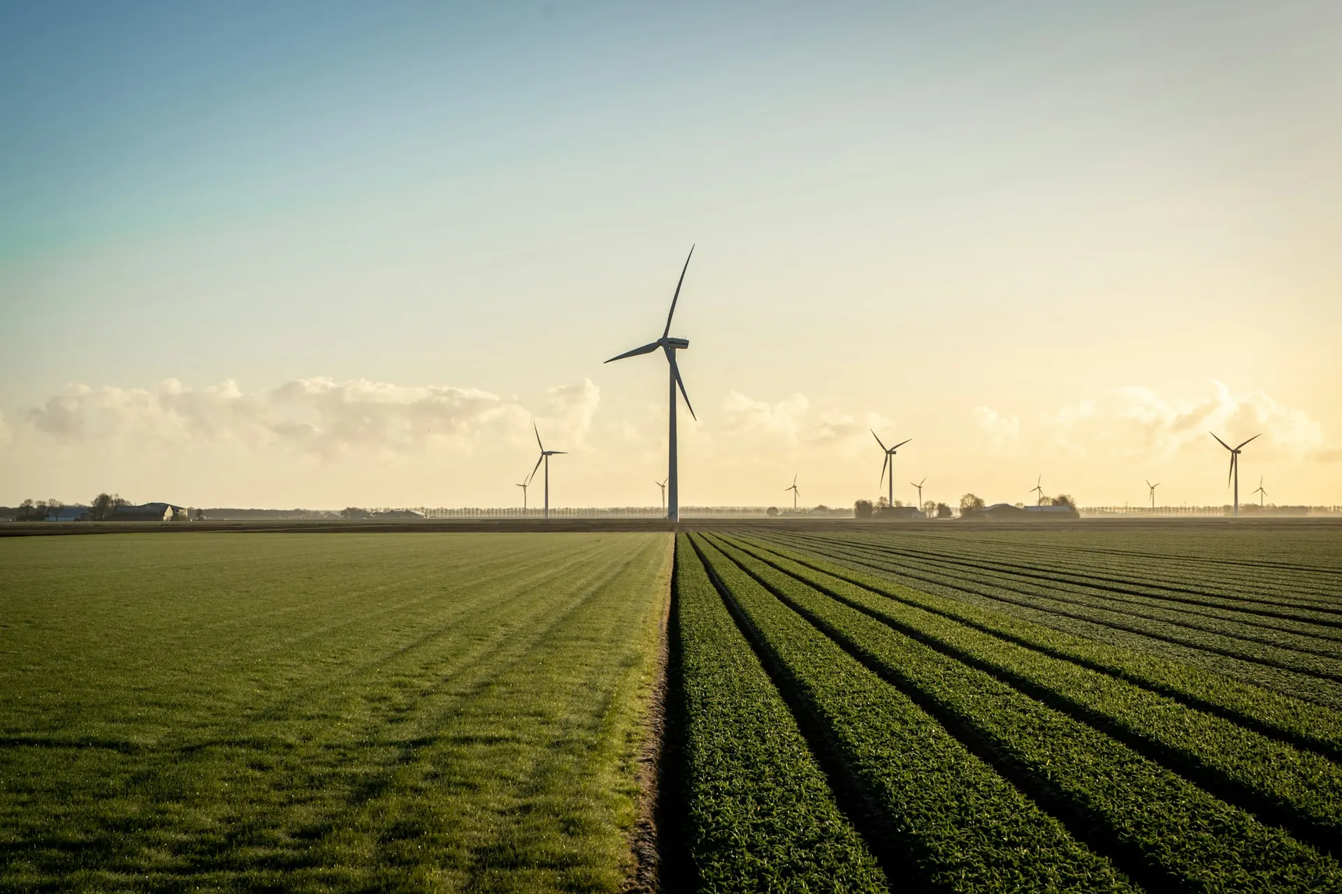 Windkraftanlagen über einem Feld bei Sonnenaufgang