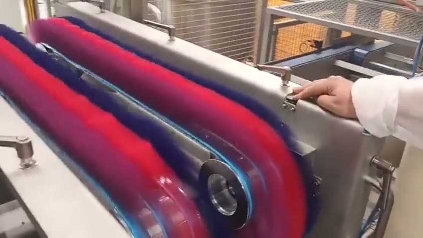 Bürstenstation zur Reinigung von Peelboards