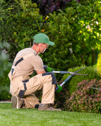 Gärtner in beiger Arbeitskleidung schneidet eine Hecke mit einer Heckenschere im Garten