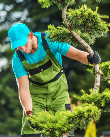 Gärtner in grün-türkischer Arbeitskleidung formt einen kleinen Baum mit den Händen